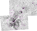Die Nebel um η Carinae - 1957 x 15s (8,15h) + 1854 x 15s (7,73h) - Gain 60 - 20.04./22.04./05.05.2025 - Riviersonderend + Calvinia + Springbok / Südafrika