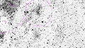 IC 1318 - 391 x 15s (1,63h) - Gain 60 - 30.12.2024 - Bodenmais / Deutschland