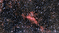 LBN 251 - 1992 x 15s (8,3h) - Gain 60 - 11./12.08.2025 - Turtle Star Observatory / Deutschland