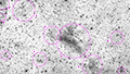 LBN 251 - 1992 x 15s (8,3h) - Gain 60 - 11./12.08.2025 - Turtle Star Observatory / Deutschland