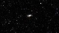 M 63 - 2030 x 15s (8,46h) - Gain 60 - 09.03.2025 - Turtle Star Observatory / Deutschland
