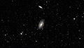 M 81 + M 82 - 1866 x 15s (7,78h) - Gain 60 - 05.03.2025 - Turtle Star Observatory / Deutschland
