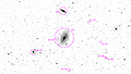 M 81 + M 82 - 1866 x 15s (7,78h) - Gain 60 - 05.03.2025 - Turtle Star Observatory / Deutschland