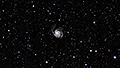 M 101 - 2206 x 15s (9,19h) - Gain 60 - 02.02.2025 - Turtle Star Observatory / Deutschland