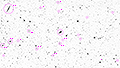 M 102 - 1896 x 15s (7,90h) - Gain 60 - 07.04.2025 - Turtle Star Observatory / Deutschland