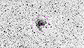 NGC 281 - 740 x 15s (3,08h) - Gain 60 - 12.01.2025 - Turtle Star Observatory / Deutschland