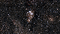 NGC 2264 - 1562 x 15s (6,51h) - Gain 60 - 03.03./04.03.2025 - Turtle Star Observatory / Deutschland