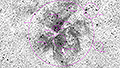 NGC 3372 - 1854 x 15s (7,73h) - Gain 60 - 20./22.04.2025 - Calvinia + Springbok / Südafrika