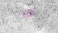 NGC 3579 - 1962 x 15s (8,18h) - Gain 60 - 27.04.2025 - Mount Ceder / Südafrika