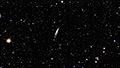 NGC 4236 - 1825 x 15s (7,60h) - Gain 60 - 07.03.2025 - Turtle Star Observatory / Deutschland