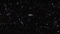 NGC 4631 / NGC 4656 - 2003 x 15s (8,35h) - Gain 60 - 03.04.2025 - Turtle Star Observatory / Deutschland