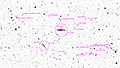 NGC 4631 / NGC 4656 - 2003 x 15s (8,35h) - Gain 60 - 03.04.2025 - Turtle Star Observatory / Deutschland