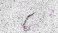 NGC 6992 - 405 x 15s (1,69h) - Gain 60 - 26.12.2024 - Bodenmais / Deutschland