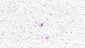 NGC 7331 - 507 x 15s (2,11h) - Gain 70 - 25.12.2024 - Bodenmais / Deutschland
