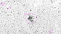 NGC 7380 - 1996 x 15s (8,32h) - Gain 60 - 05.09./07.09.2025 - TSO / Deutschland