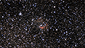 Sh2-261 - 3049 x 15s (12,70h) - Gain 60 - 16.02./17.02./18.02.2025 - Turtle Star Observatory / Deutschland
