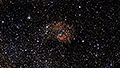 Sh2-261 - 851 x 15s (3,55h) - Gain 60 - 01.03.2025 - Turtle Star Observatory / Deutschland