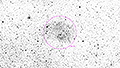 Sh2-261 - 851 x 15s (3,55h) - Gain 60 - 01.03.2025 - Turtle Star Observatory / Deutschland