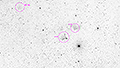 IC 63 + IC 59 - 419 x 30s (3,49h) - Gain 60 - Filter: Astro - 30.12.2025 - Turtle Star Observatory / Deutschland