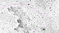 IC 2118 - 535 x 30s (4,46h) - Gain 60 - 11./12.03.2026 - Villiersdorp / S&uuml;dafrika