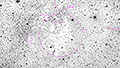 LDN 673 - 486 x 30s (4,05h) - Gain 60 - 12.08.2026 - Turtle Star Observatory / Deutschland
