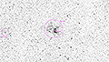 NGC 2359 - 765 x 30s (6,38h) - Gain 60 - 15./21.03.2026 - Robertson + Oudtshoorn / S&uuml;dafrika