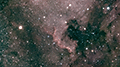 NGC 7000 - 823 x 30s (6,88h) - Gain 60 - 05.09.2026 - Turtle Star Observatory / Deutschland