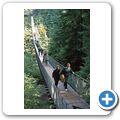Vancouver - Capilano Suspension Bridge