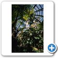 San Diego - Balboa Park - Botanical Garden