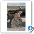 Petrified Forrest National Park - versteinertes Holz