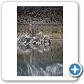 Mono Lake