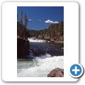 Yellowstone National Park - Yellowstone River - Le Hardy Rapids
