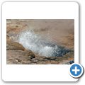 Yellowstone National Park - Geysir