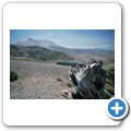 Mt. St. Hellens - Windy Ridge Viewpoint
