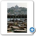 San Francisco - Hafen - Pier 39