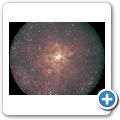 Tarantelnebel (NGC 2070)