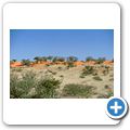 Sand Ridges (Kalahari-Dünen)