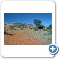 Sand Ridges (Kalahari-Dünen)