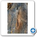Der Köcherbaumwald bei Keetmanshoop