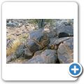 Giant's Playground bei Keetmanshoop