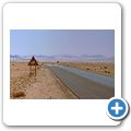 Namib Wüste - Wüstenpferde
