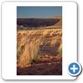 Auf der C14 durch die Namib Wüste