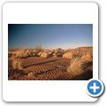 Auf der C14 durch die Namib Wüste