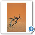 Sossusvlei - Düne 45