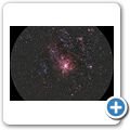 Gästefarm "Niedersachsen" - Tarantelnebel (NGC 2070)