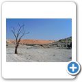Namib Naukluft Park - Homeb