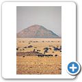 Namib Naukluft Park