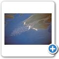 Rundflug über der Namib-Wüste - Flamingos über Sandwich Harbour
