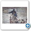 Fahrt durch das Damaraland - Ziegenhirte