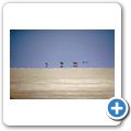 Etosha Nationalpark - Etosha Pfanne